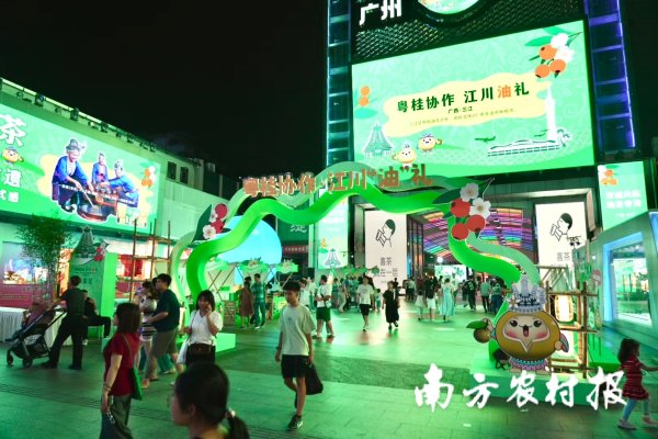 配资公司最靠谱三个平台 江川“油”礼，风靡湾区！  2025年三江油茶粤港澳大湾区（广州）品牌推介活动成功举行